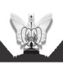 Excellence Creations