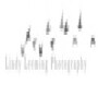 Lindy Leeming Photography