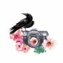 Michelle V Photography