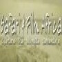 Safari And Film Africa