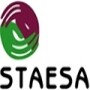 Staesa