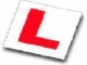 Patricia'S Driving School