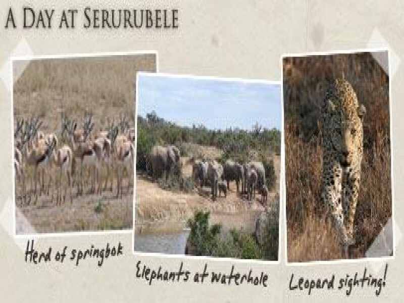 Serurubele Lodge