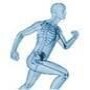 Durbanville Wellness