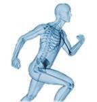 Durbanville Wellness Centre (Karen Frye Physiotherapy)