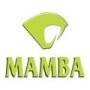 Mamba Security