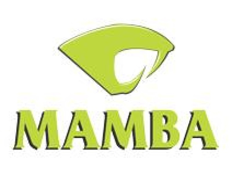 Mamba Security
