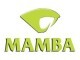 Mamba Security