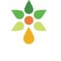 Seed Oil Sa