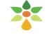 Seed Oil Sa