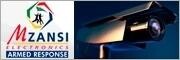 Mzansi Electronics