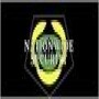 Nationwide Security Holdings (Pty) Ltd