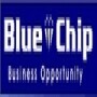 Bluechip Business Opportunity