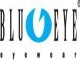 Blueye Eyewear