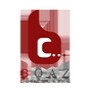 Boaz Consulting