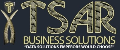Tsar Business Solutions