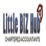 Little Biz Hub