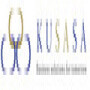 Kusasa Management Holdings