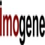 Imogene