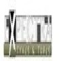 Expectra Tyres