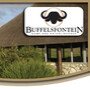 Buffelsfontein