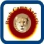 Bush Camp Safaris