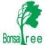 Bonsai Tree