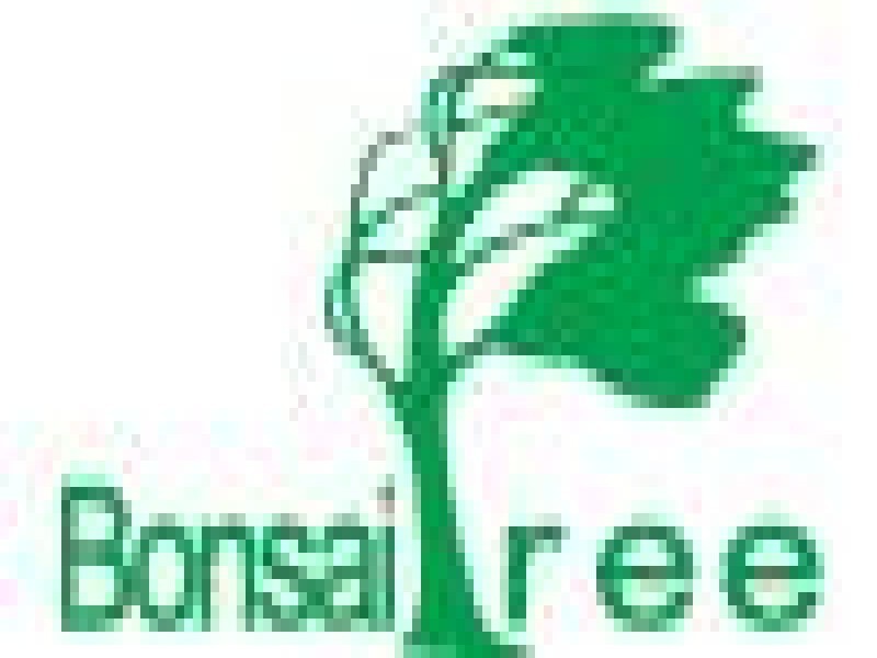 Bonsai Tree