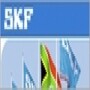 SKF (SA) (Pty) Ltd