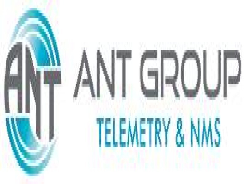 Ant Group
