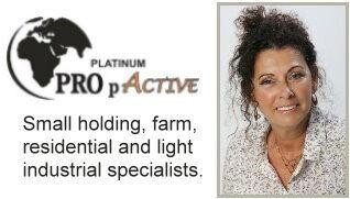 Platinum Pro P Active