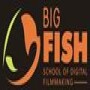 Big Fish