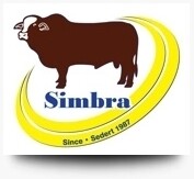 Delft Simbra