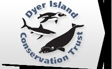 Dyer Island Conservation Trust