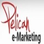 Pelican E-Marketing
