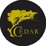 Cedar Employee Benefits