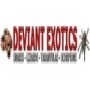 Deviant Exotics