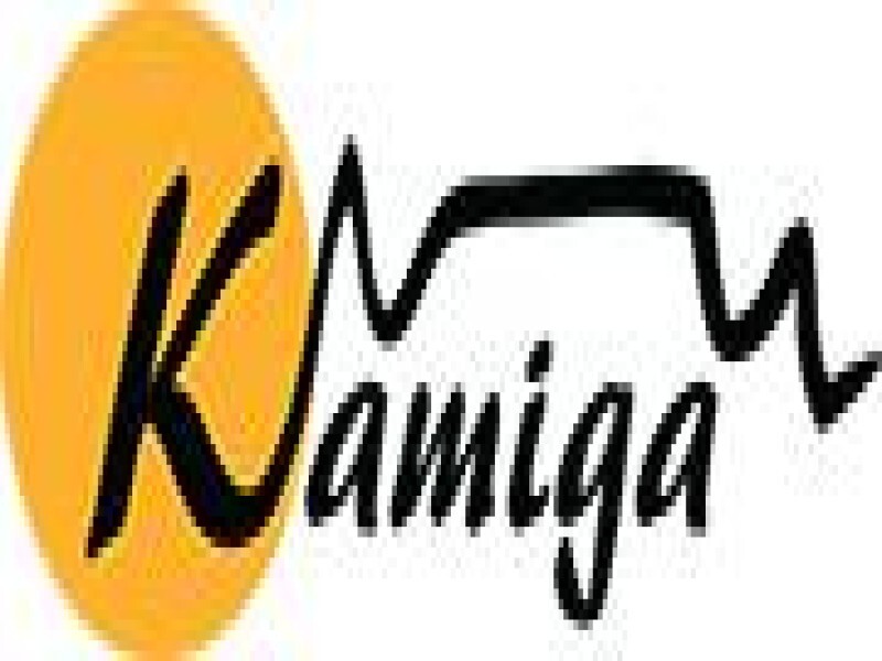 Kamiga Tours And Transfers
