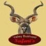 Bushveld Safari