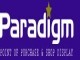 Paradigm Skylights