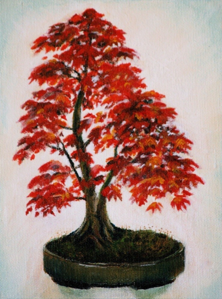 Bonsai Care