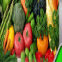 Dveg Supplies
