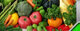 Dveg Supplies