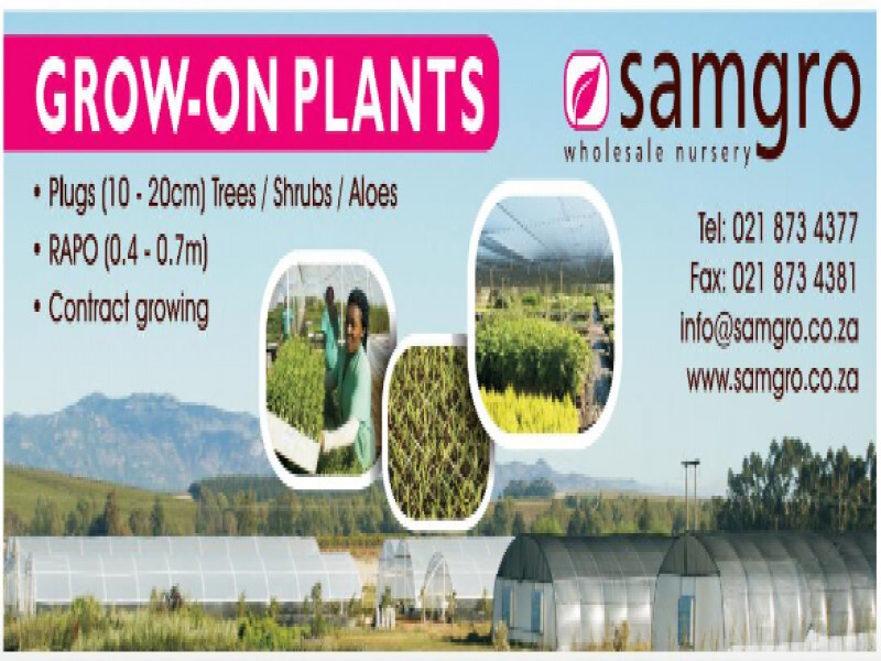 Samgro Wholesale Nursery