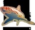 Shark Diving Unlimited