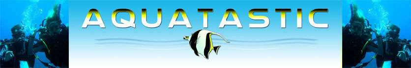 Aquatastic Scuba Diving School