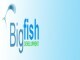 The Big Fish