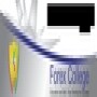 Forex College