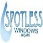 Spotless Window