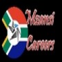 Mzansi Careers